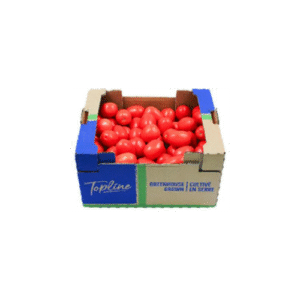 25 lbs Roma Box - Machine made - 3548