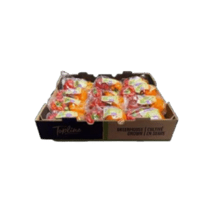 24cnt Common Footprint Box - Mach made - 674 (Katara)