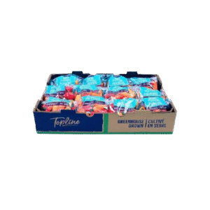 24cnt Common Footprint Box - Hand Made - 1136 (WP)