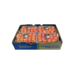 Fruit Box - Hand made - 929