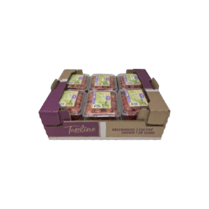 12x1 Grape Tomato Box - Machine Made - 2903
