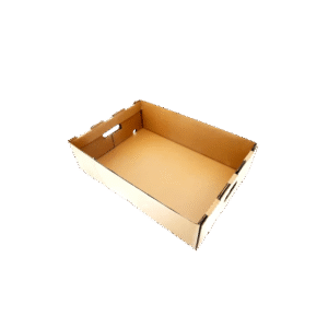 10 Kg Plain Kraft Box - 838 (ARMADA)