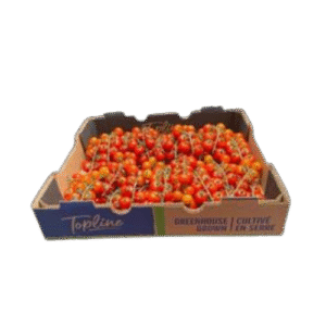 11 lbs Cluster Box - Machine Made - 2166 (FA)